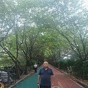 ���� Sharif, �������, 46 ��� - ��������� 25 ���� 2026 � ������ ���� ����������