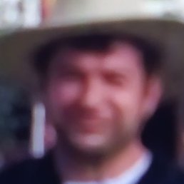 �����, ����, 42 ����