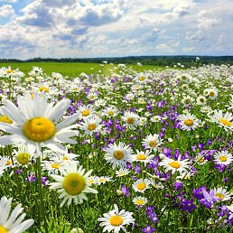  ,  , 49  -  10  2025