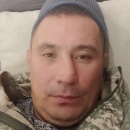 �����, ������, 41 ���