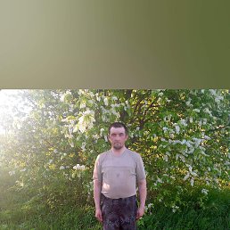 ����, ������, 38 ���