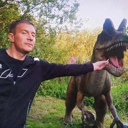 , 42, 