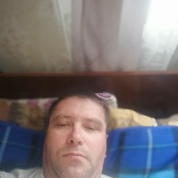 , 44, 