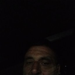 , 44, 