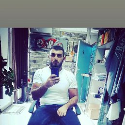 , 29, 