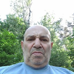 , 55, 