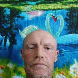 , 46, ,  