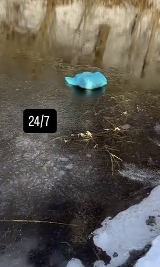 ���� �������� ������� ������� �������� �� � ����������, � � ����: ������� ���� �������� �����, � ...