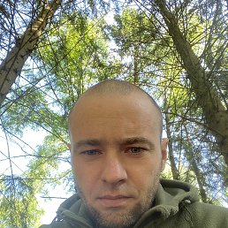 ���� ���������, �����������, 40 ��� - ��������� 2 ������ 2023