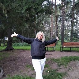, , 53 
