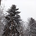 ���� ������, ������ - ��������� 16 ������ 2026 � ������ ���� ����������