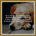 ���� ���������, �������, 46 ��� - ��������� 13 ������ 2025 � ������ ������ ��������