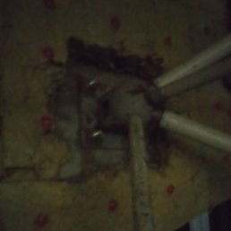 Nurik, �����������, 36 ���