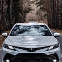 ���� ������, ������, 49 ��� - ��������� 21 ������� 2023 � ������ ���� ����������
