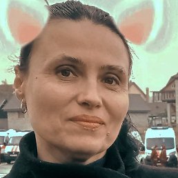 🌼�����🌼, ������