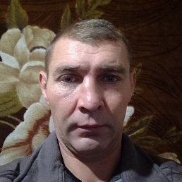 ���������, ����, 46 ���