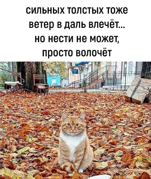  - 3  2025  09:18 - 2