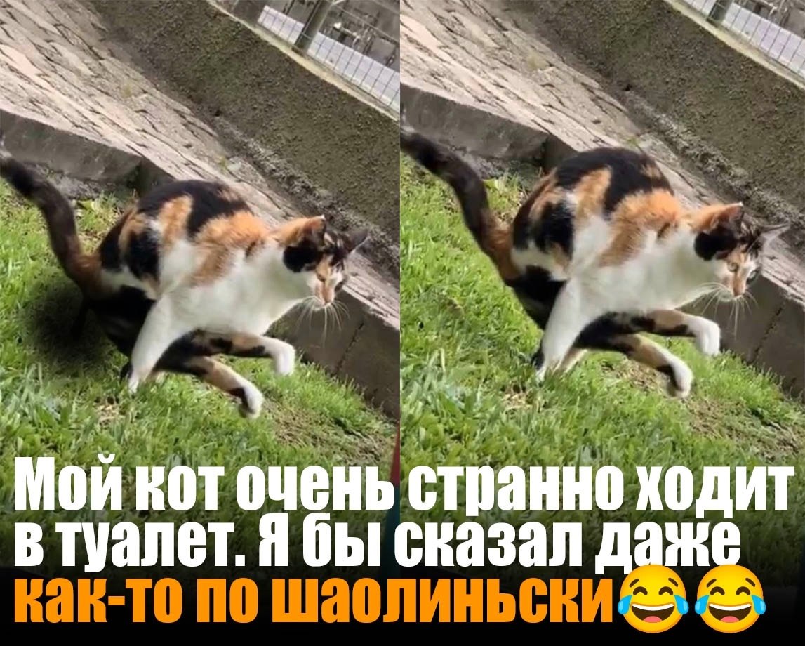  - 6  2024  00:54