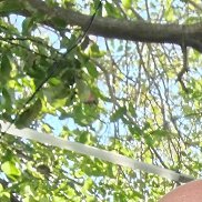 , 52 , 