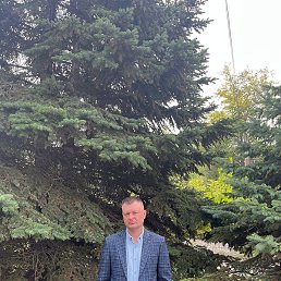 ������� ��������, ���������, 41 ���