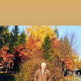 , 58, 