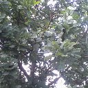 ���� ���������, �������� - ��������� 22 ������� 2025 � ������ �����