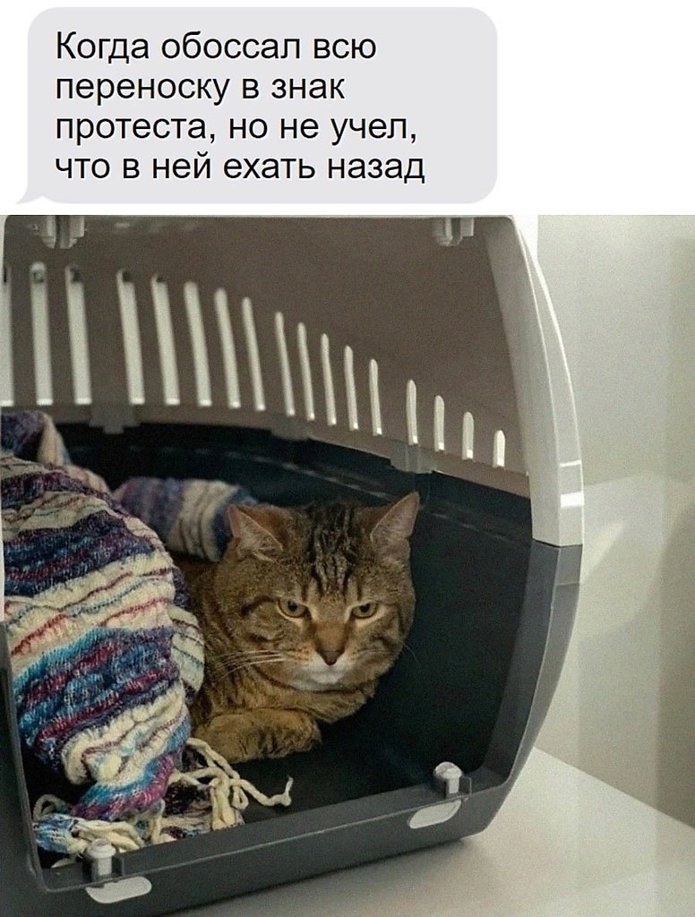    - 25  2025  04:23