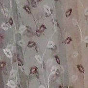 ����, 66 ���, ���