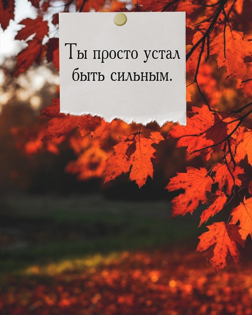 Иногда нам хочется, чтобы кто-то просто сказал: “Можешь не справляться сегодня. Я рядом.”
