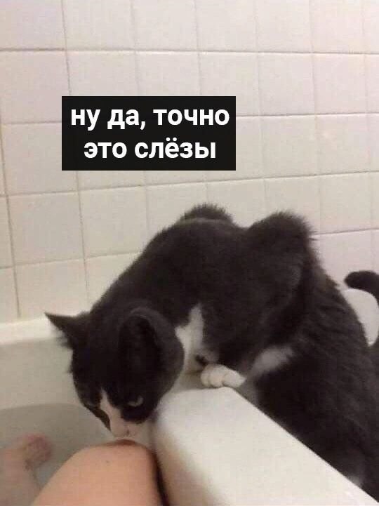       - 2