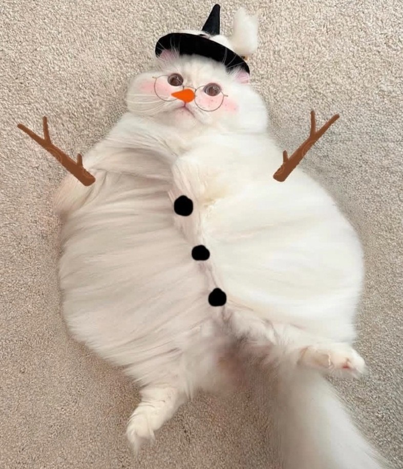 ,      ,  
