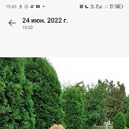 Надежда, 69 лет, Санкт-Петербург Надежда, 69 лет, Санкт-Петербург