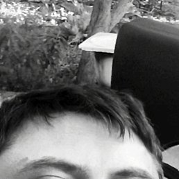 , 37, 