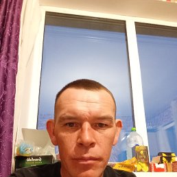 , 37, 