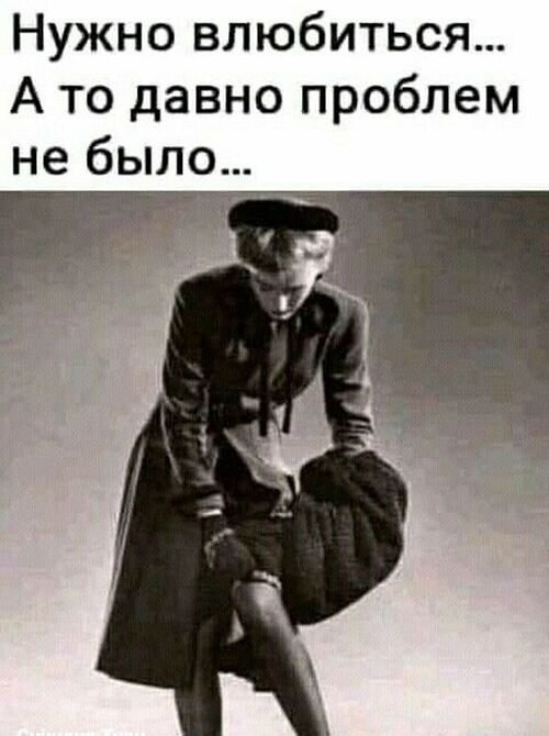   ! - 15  2023  12:52