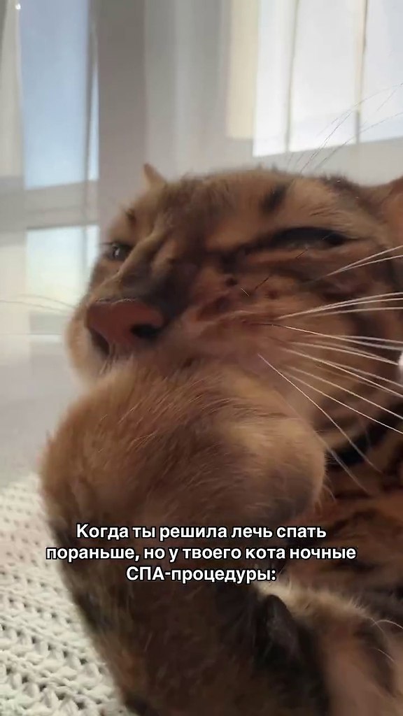    ) - 2