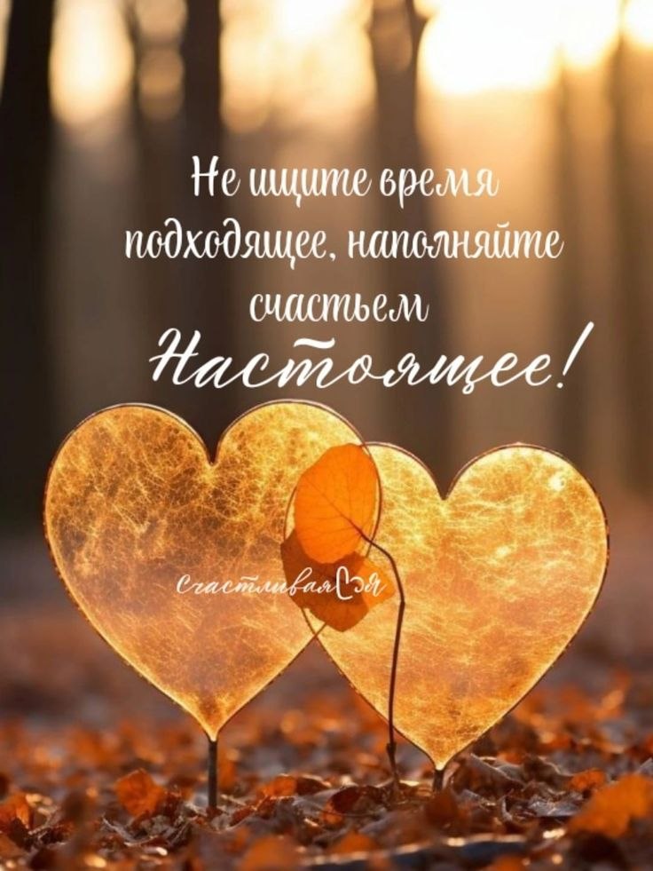 Всё будет хорошо! - 27 октября 2025 в 11:25