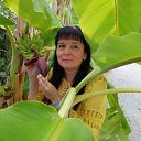 ���� �������, ���������, 53 ���� - ��������� 11 ������ 2026 � ������ ������� 2023�