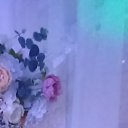 ���� ����, ������, 54 ���� - ��������� 24 ����� 2026 � ������ ���� ����������