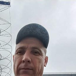 , 41, 