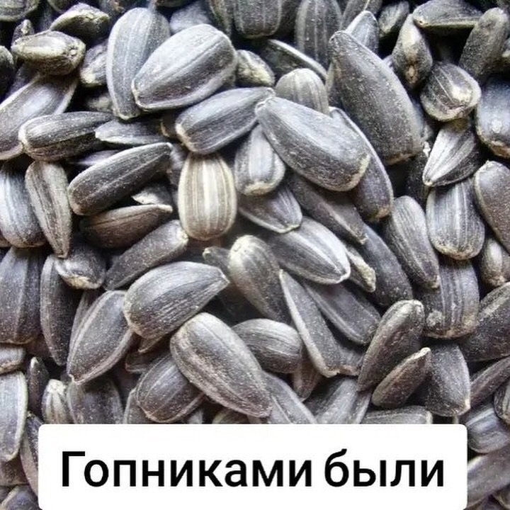    ,  -    !!! - 3