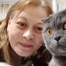 �����, �����������, 45 ���