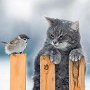 ���� ����, �����-���������, 51 ��� - ��������� 19 ������� 2025 � ������ ������ ��������