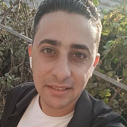 Amr Hamed, �������, 28 ���