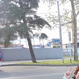 �������, ������, 65 ���