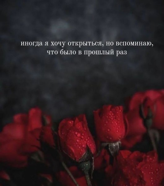   - 11  2025  15:41
