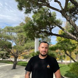 ����, 38 ���, �������