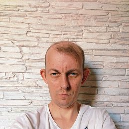 ���� ����, ���������, 41 ��� - ��������� 16 ���� 2025