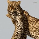 ���� ����������, ���������, 59 ��� - ��������� 27 ���� 2026 � ������ ������ ��������