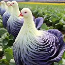 ���� ������, �����, 37 ��� - ��������� 28 ������ 2023